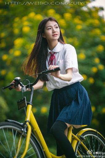 藏海传在线观看